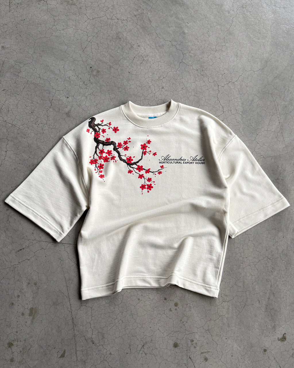 CHERRY BLOSSOM BOXY TEE